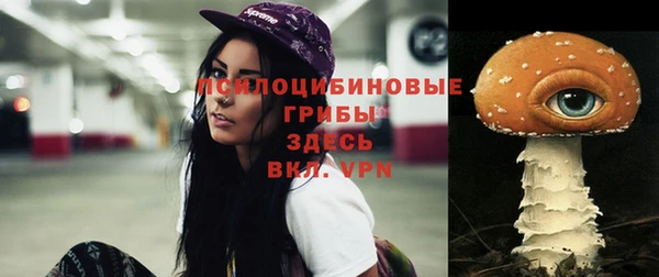 mix Каменка