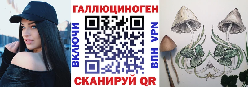 Купить  Вихоревка  Галлюциногенные грибы Psilocybine cubensis 